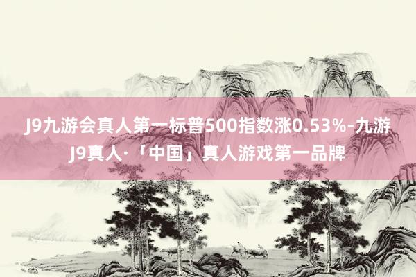 J9九游会真人第一标普500指数涨0.53%-九游J9真人·「中国」真人游戏第一品牌